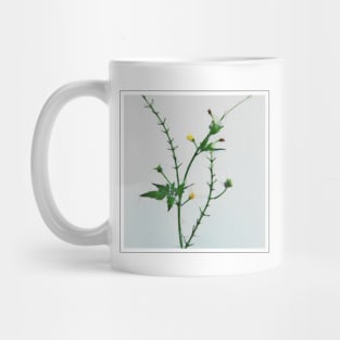 Real Floral Flower Plant 7 Mug